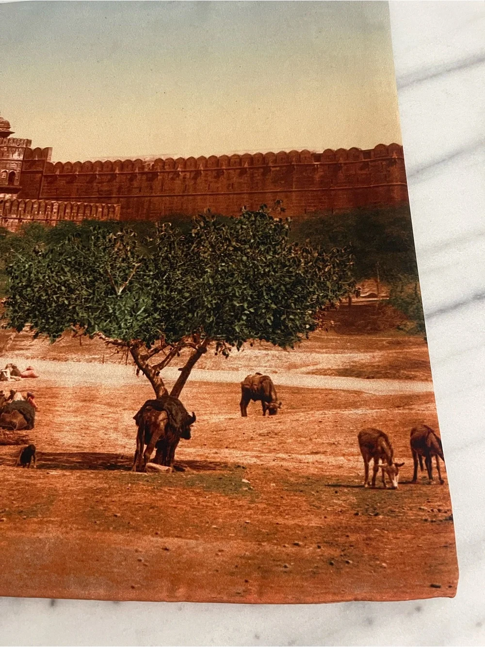 Scenic Printed Pillow Cover w Historic red fort Agra India Agra fort pillow case